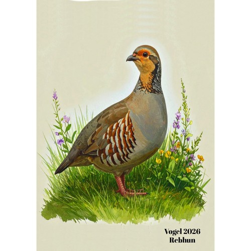 Postkarte vogel rebhuhn - vogel.,